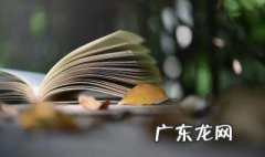 罗曼罗兰名言 罗曼罗兰名言从来没有人读书