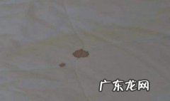床垫上的血渍怎么清洗 床垫上的血渍怎么快速去除