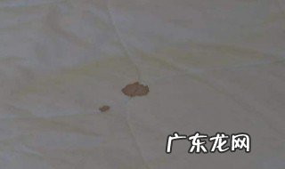 床垫上的血渍怎么清洗 床垫上的血渍怎么快速去除
