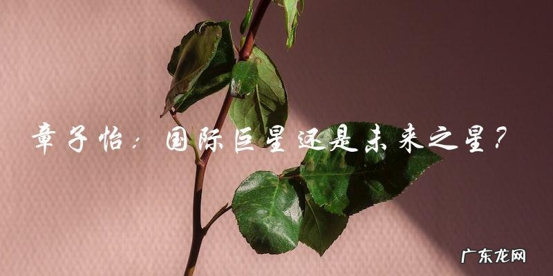 章子怡:国际巨星还是未来之星?