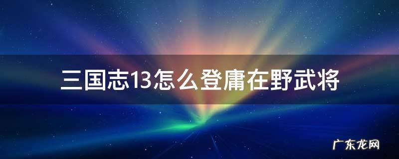 三国志13怎么登庸在野武将 三国志13怎么登庸讨厌自己的武将