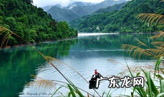 怎么能让池塘的水变清 如何让池塘里的浑水变清