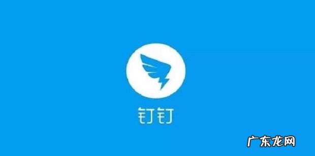 电脑版钉钉直播怎么调声音