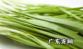 韭菜尖发黄是什么原因 韭菜尖黄怎么回事