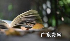 大仲马名言名句中英对照 大仲马名言