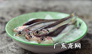 刚出生的孔雀鱼吃什么 刚出生的孔雀鱼吃什么食物