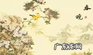 春眠不觉晓处处闻啼鸟这首诗意是什么 春晓写了什么