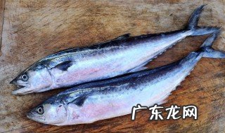 鲅鱼怎么处理干净又简单还没腥味 鲅鱼怎么办能新鲜