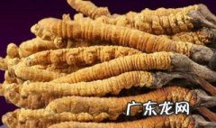 虫草放冰箱可以保存多久 虫草放在冰箱保存要注意什么