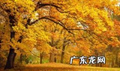 关于秋的成语 关于冬天的成语