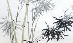 描写竹子的诗句小学 描写竹子的诗句