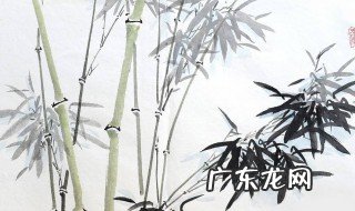 描写竹子的诗句小学 描写竹子的诗句