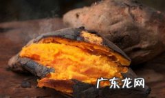 烤红薯不放锡纸可以吗窍门 烤红薯不用锡纸可以吗