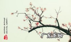 春色满园关不住一枝红杏出墙来全诗 一枝红杏出墙来全诗