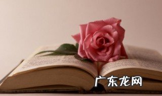 善意的谎言名言警句 善意的谎言名言警句常用
