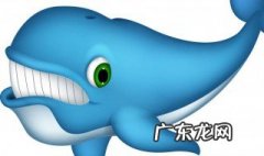 世界上最大的鲸鱼有多大 世界上最大的鲸鱼