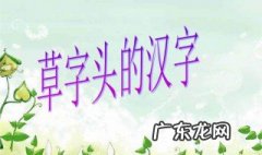 氵字旁的字有哪些 艹字头的字有哪些