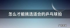 怎么才能挑选适合的乒乓球拍 怎么挑选适合自己的乒乓球拍