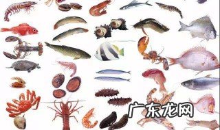 海鲜种类有哪些 烧烤海鲜种类有哪些