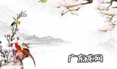 白居易的诗有哪些 二年级下册白居易的诗有哪些