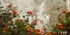 曾经的国民女神？56岁周迅素颜近照曝光，网友猜测她到底有多少秘密！