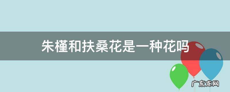 扶桑花,木槿花,朱槿花有什么区别 朱槿和扶桑花是一种花吗