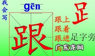 足字旁的字有哪些 足字旁的字有哪些字