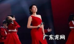 刘敏涛红色高跟鞋上的什么节目