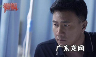 连续剧猎狐多少集 电视剧猎狐几集