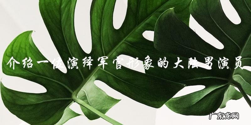 谁是演绎军官形象的大陆男演员?