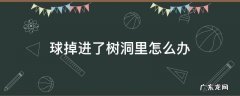 球掉进树洞里你会怎么办 球掉进了树洞里怎么办