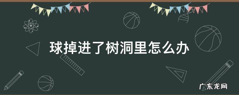 球掉进树洞里你会怎么办 球掉进了树洞里怎么办