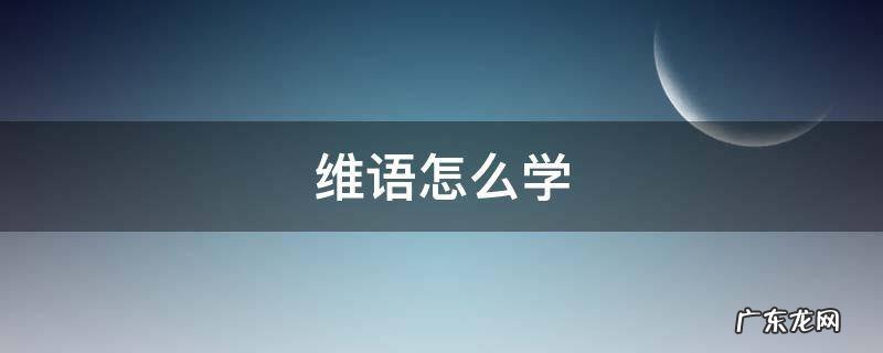 新疆维语怎么学 维语怎么学