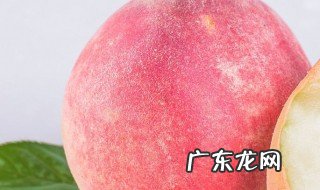 有什么营养高的水果 有什么营养高的水果排名