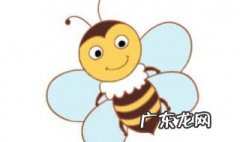 蜜蜂尾巴的刺有什么作用呢 蜜蜂尾巴的刺有什么作用