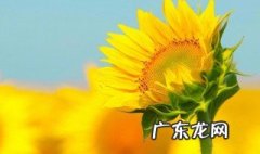 女人励志签名阳光 女生阳光励志个性签名微信