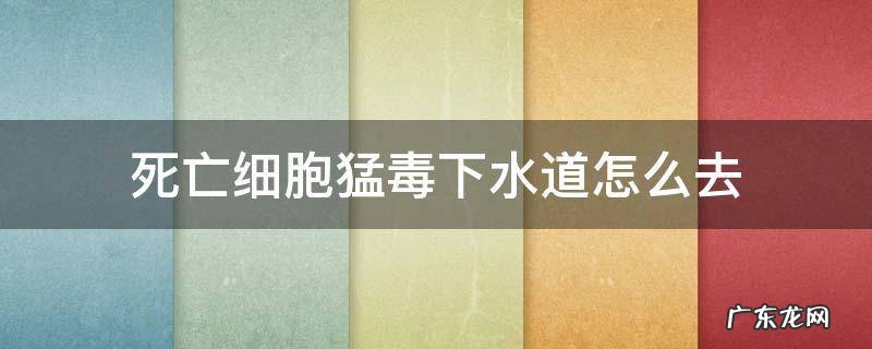 死亡细胞猛毒下水道怎么去 死亡细胞猛毒下水道能去哪