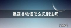 星露谷物语法师剧情怎么过 星露谷物语怎么见到法师
