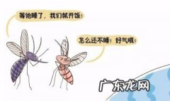 家里有蚊子小妙招怎么去除蚊子 家里有蚊子小妙招怎么去除蚊子呢