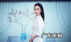 霍思燕演过的电视剧有哪些 霍思燕演过的电视剧