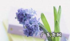 描写环境优美的句子 描写环境优美的句子英语