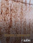 墙上有油污渍怎样去除