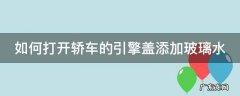 如何打开轿车的引擎盖添加玻璃水 如何打开轿车的引擎盖添加玻璃水呢