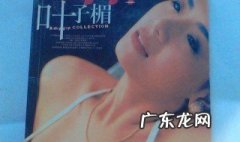 叶子楣演过的电影