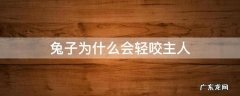为什么兔子突然咬主人 兔子为什么会轻咬主人