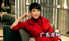 海清演过的电影 海清演过的电视剧