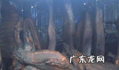 被烟熏有什么害处 被烟熏会怎么样
