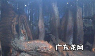 被烟熏有什么害处 被烟熏会怎么样