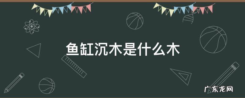 鱼缸沉木是什么木 鱼缸水沉木是什么木头