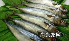 鱼泡有什么营养和功效禁忌 鱼泡的作用是干嘛的